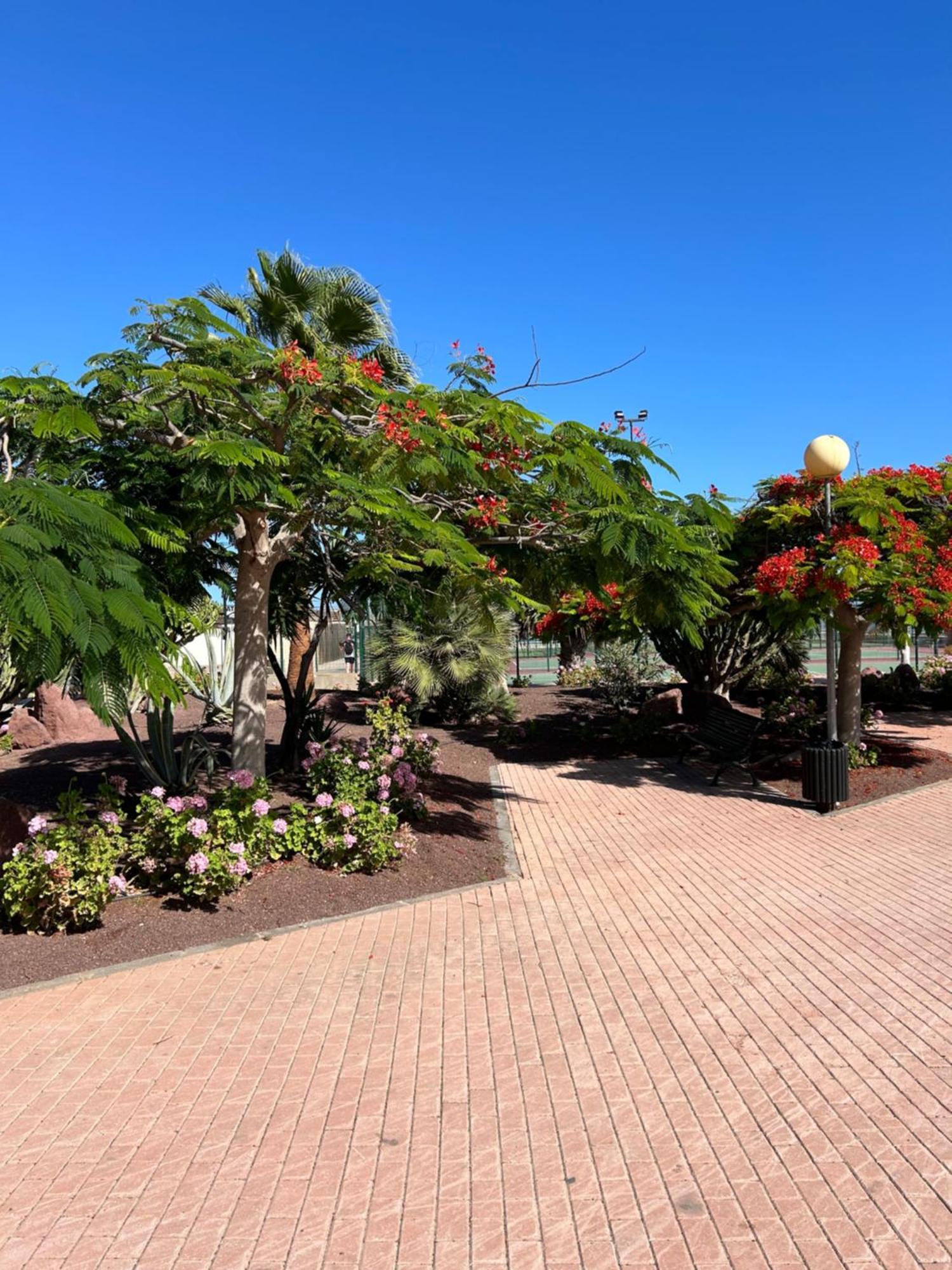 Appartement Honey Bunch à Caleta de Fuste Extérieur photo